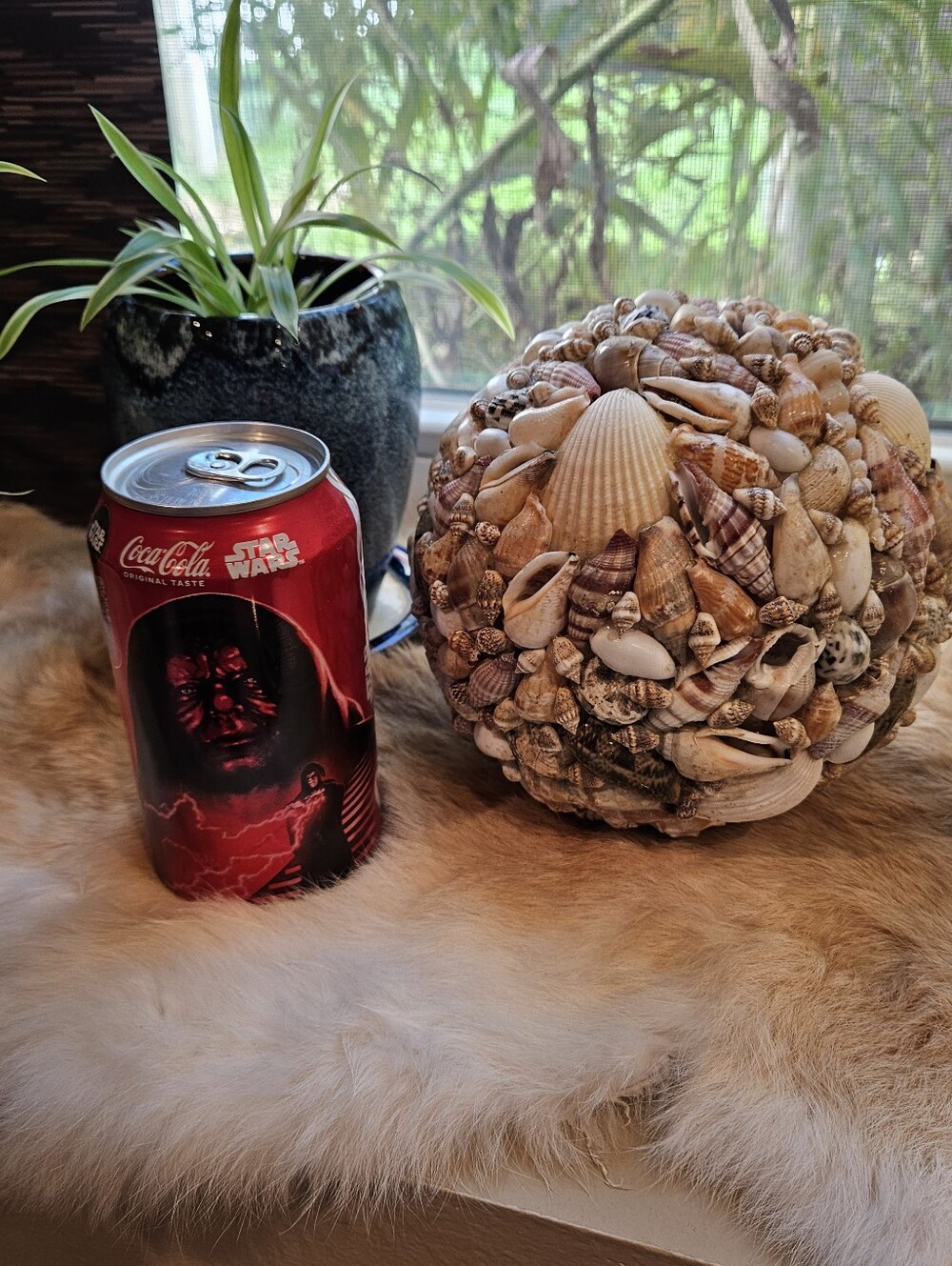 Seashell Orb - Picture 4 of 4